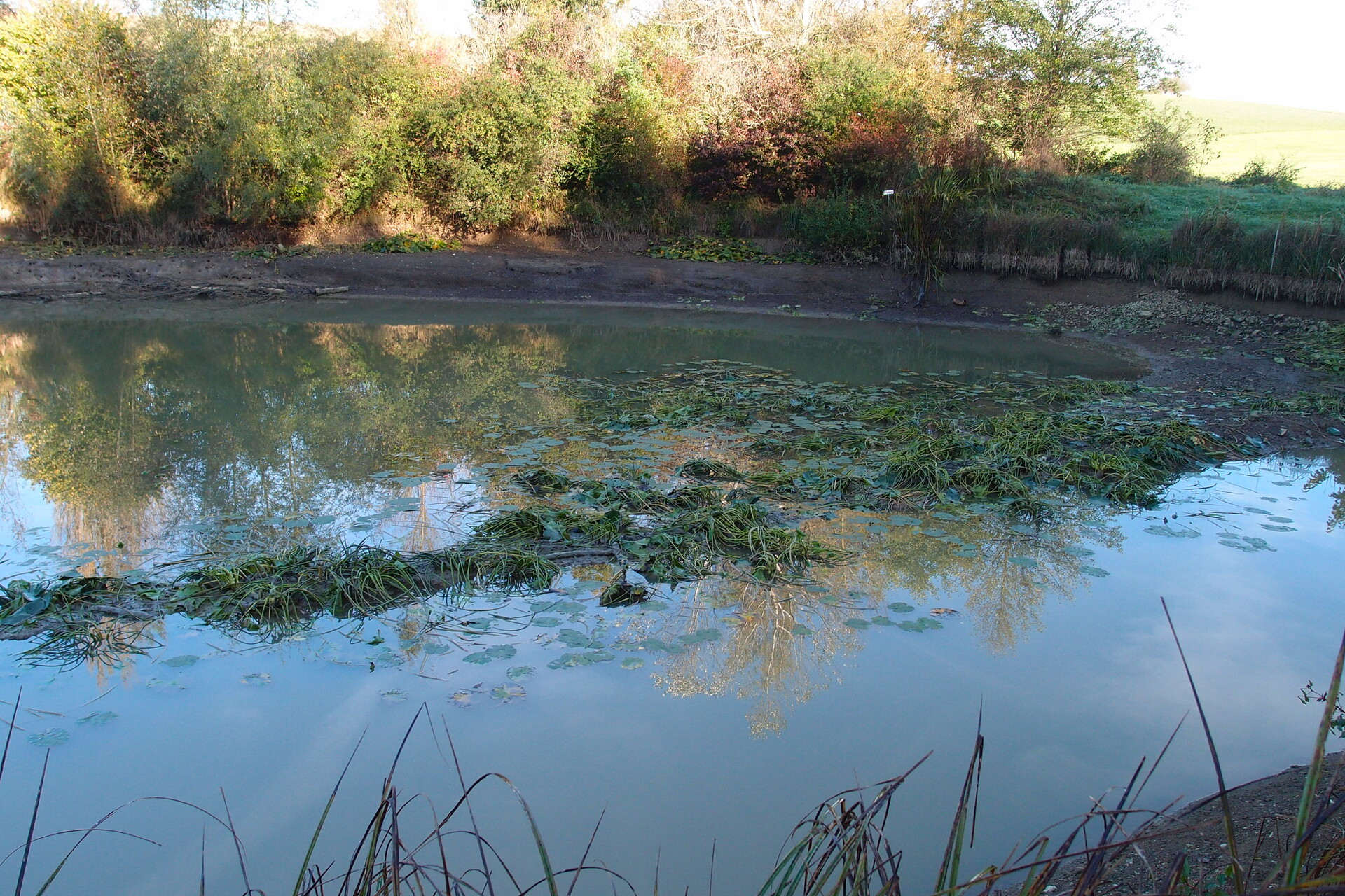 Galeriebild: PA183100